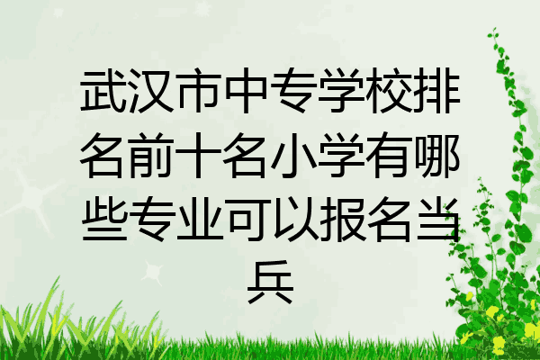 武汉市中专学校排名前十名小学有哪些专业可以报名当兵