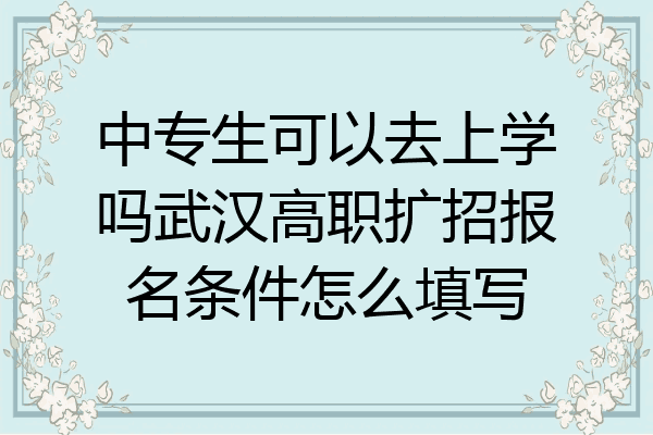 中专生可以去上学吗武汉高职扩招报名条件怎么填写