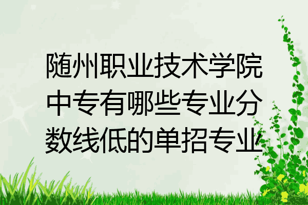 随州职业技术学院中专有哪些专业分数线低的单招专业