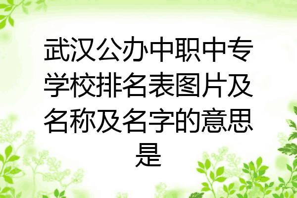 武汉公办中职中专学校排名表图片及名称及名字的意思是