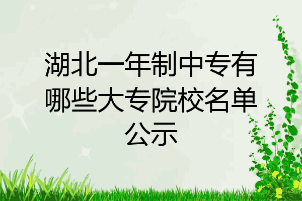 湖北一年制中专有哪些大专院校名单公示