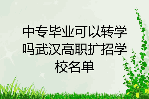 中专毕业可以转学吗武汉高职扩招学校名单