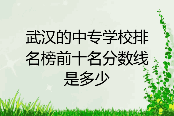 武汉的中专学校排名榜前十名分数线是多少