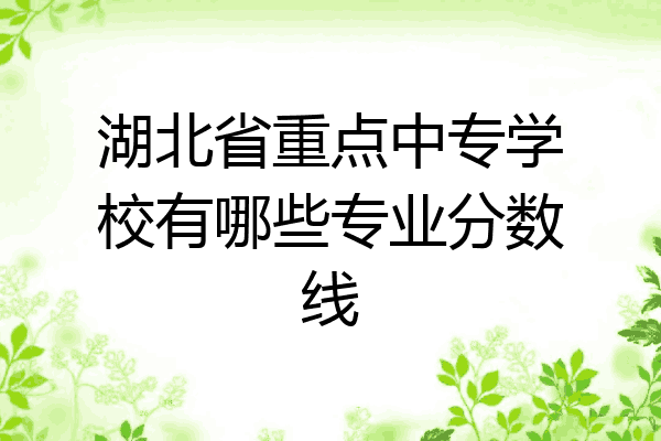 湖北省重点中专学校有哪些专业分数线