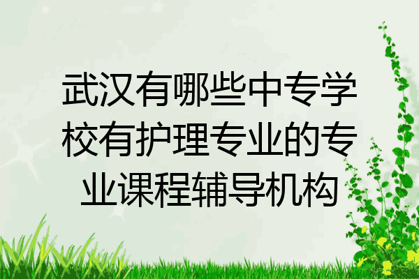 武汉有哪些中专学校有护理专业的专业课程辅导机构
