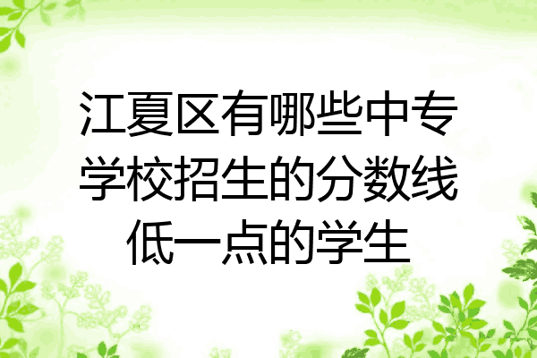 江夏区有哪些中专学校招生的分数线低一点的学生