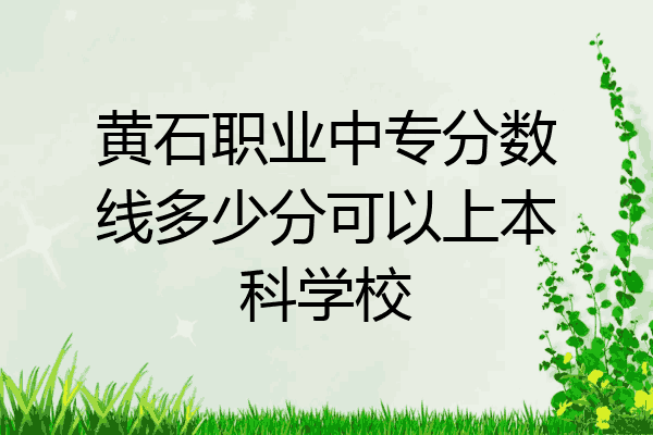 黄石职业中专分数线多少分可以上本科学校