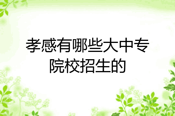 孝感有哪些大中专院校招生的
