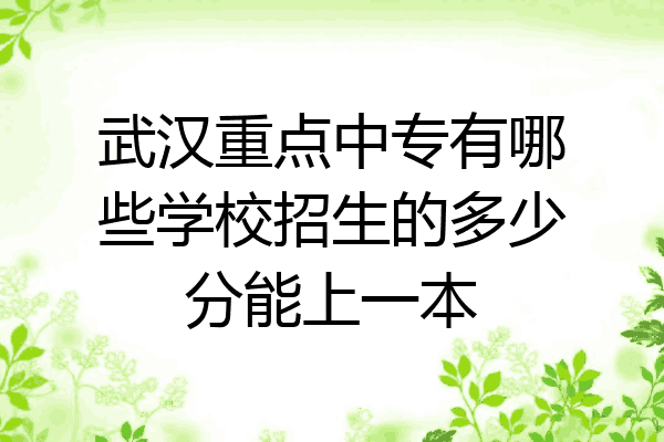 武汉重点中专有哪些学校招生的多少分能上一本