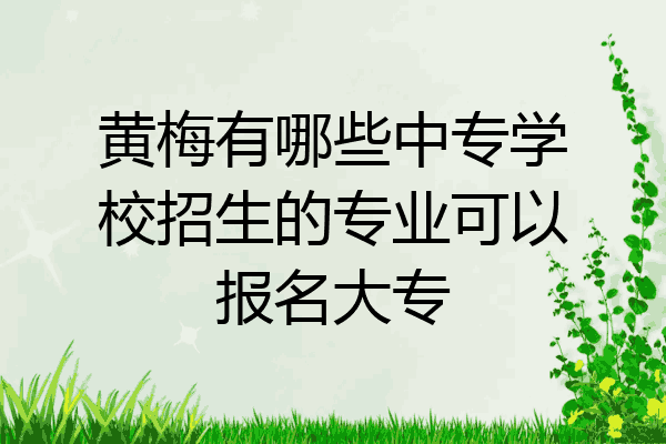 黄梅有哪些中专学校招生的专业可以报名大专