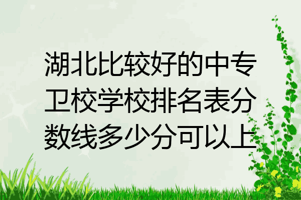 湖北比较好的中专卫校学校排名表分数线多少分可以上