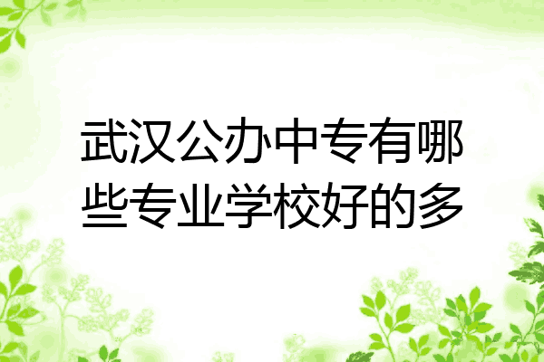 武汉公办中专有哪些专业学校好的多