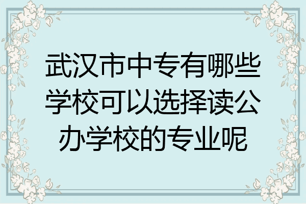 武汉市中专有哪些学校可以选择读公办学校的专业呢