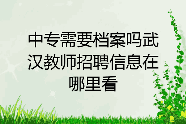 中专需要档案吗武汉教师招聘信息在哪里看