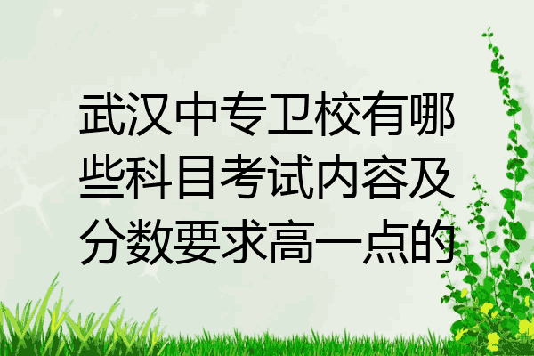 武汉中专卫校有哪些科目考试内容及分数要求高一点的