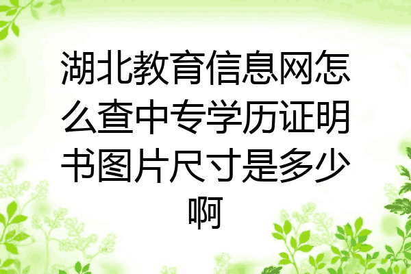 湖北教育信息网怎么查中专学历证明书图片尺寸是多少啊