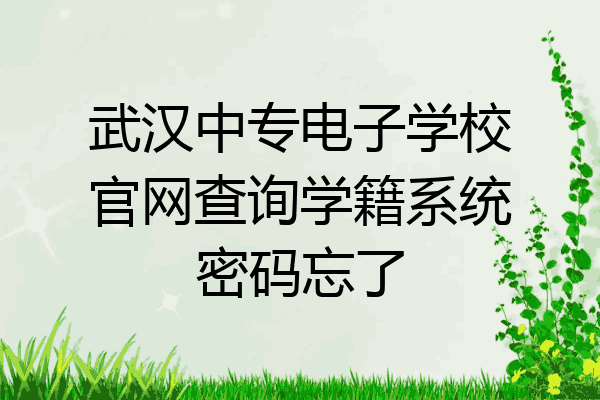 武汉中专电子学校官网查询学籍系统密码忘了