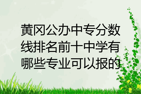 黄冈公办中专分数线排名前十中学有哪些专业可以报的