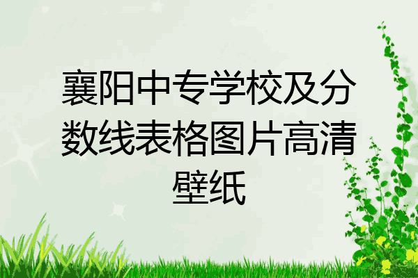 襄阳中专学校及分数线表格图片高清壁纸