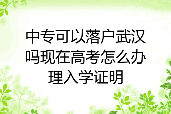 中专可以落户武汉吗现在高考怎么办理入学证明