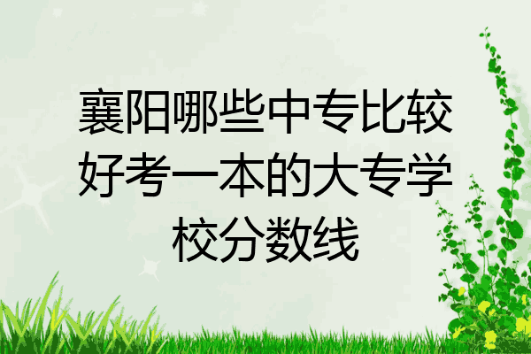 襄阳哪些中专比较好考一本的大专学校分数线