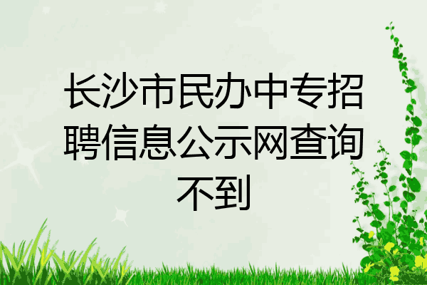长沙市民办中专招聘信息公示网查询不到