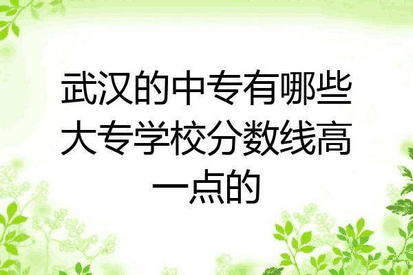 武汉的中专有哪些大专学校分数线高一点的