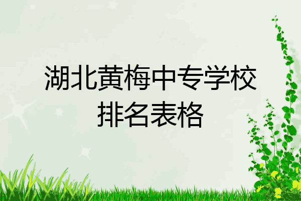 湖北黄梅中专学校排名表格