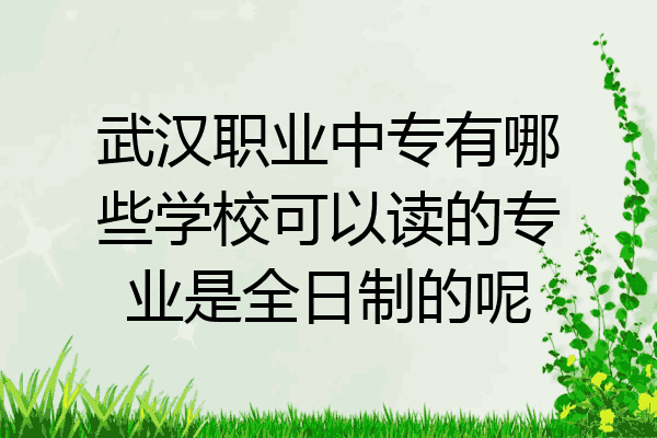 武汉职业中专有哪些学校可以读的专业是全日制的呢