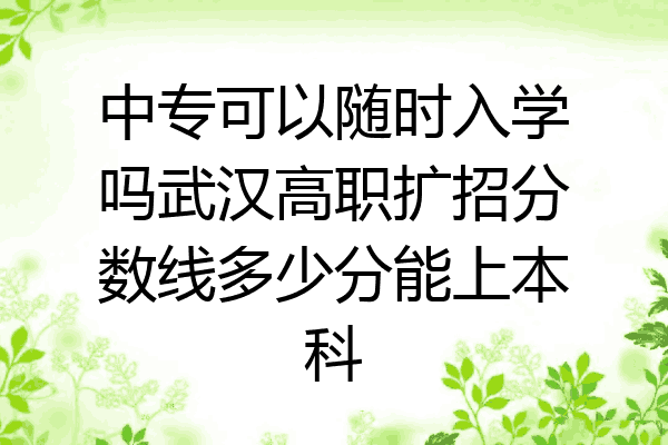 中专可以随时入学吗武汉高职扩招分数线多少分能上本科