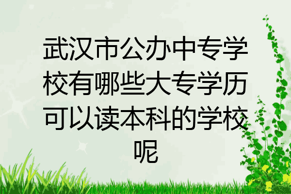 武汉市公办中专学校有哪些大专学历可以读本科的学校呢