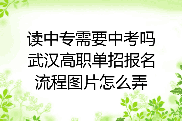 读中专需要中考吗武汉高职单招报名流程图片怎么弄