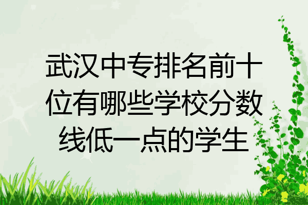 武汉中专排名前十位有哪些学校分数线低一点的学生