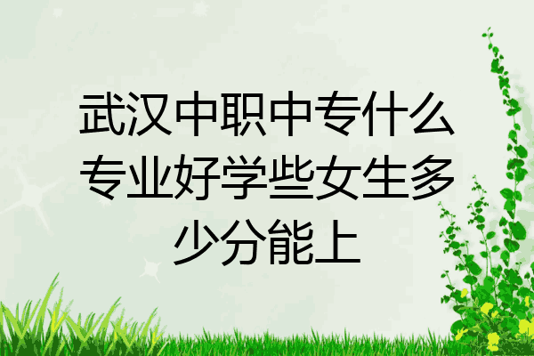 武汉中职中专什么专业好学些女生多少分能上