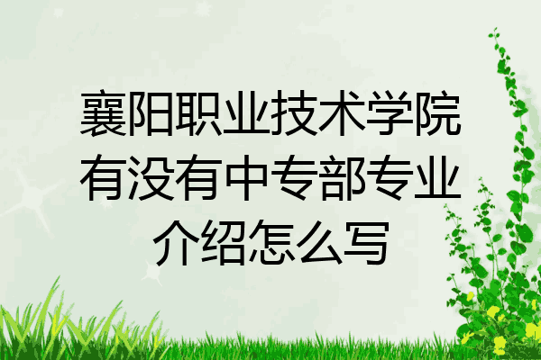 襄阳职业技术学院有没有中专部专业介绍怎么写