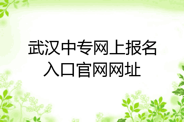 武汉中专网上报名入口官网网址