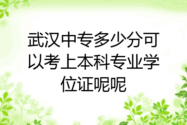 武汉中专多少分可以考上本科专业学位证呢呢