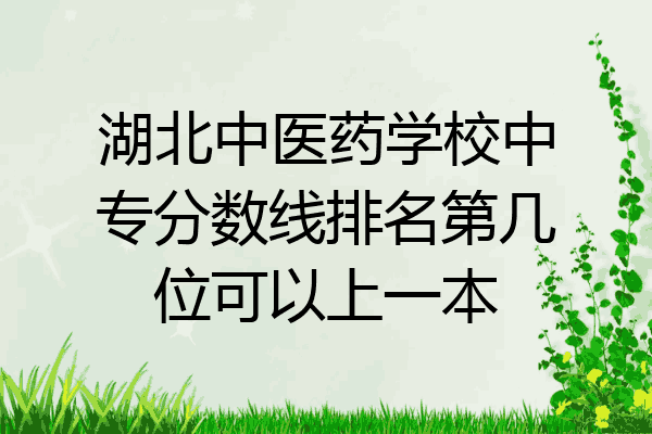 湖北中医药学校中专分数线排名第几位可以上一本