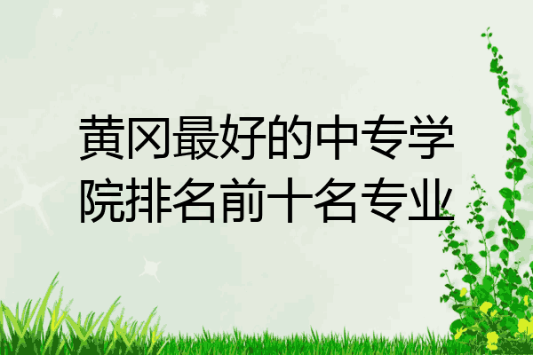 黄冈最好的中专学院排名前十名专业