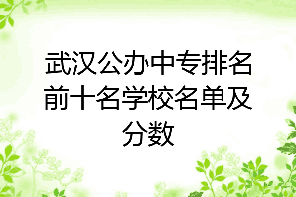 武汉公办中专排名前十名学校名单及分数