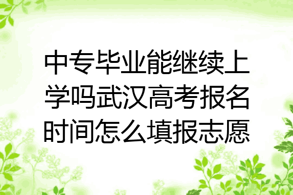 中专毕业能继续上学吗武汉高考报名时间怎么填报志愿