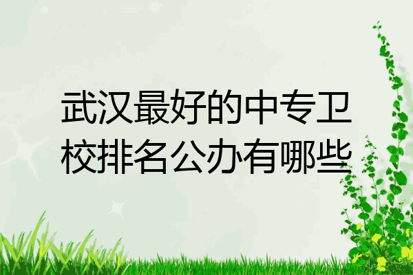 武汉最好的中专卫校排名公办有哪些