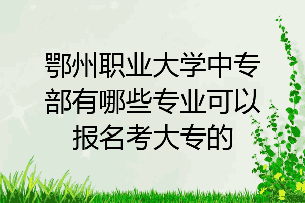 鄂州职业大学中专部有哪些专业可以报名考大专的
