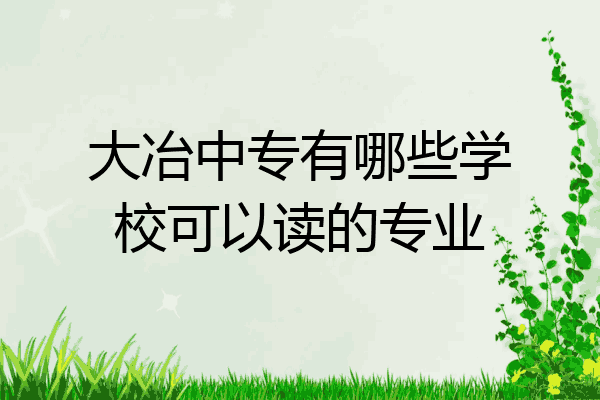大冶中专有哪些学校可以读的专业