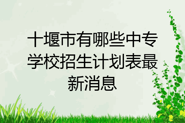 十堰市有哪些中专学校招生计划表最新消息