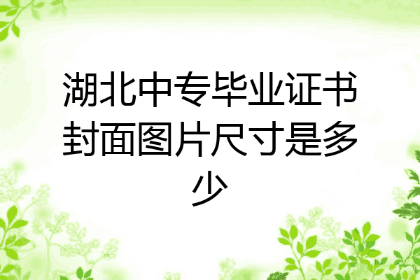 湖北中专毕业证书封面图片尺寸是多少