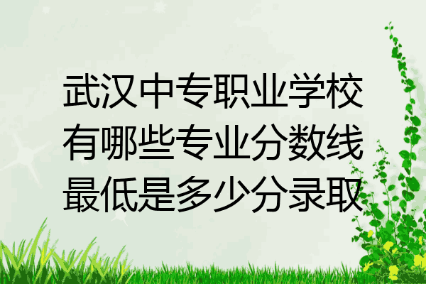 武汉中专职业学校有哪些专业分数线最低是多少分录取