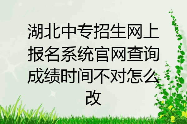 湖北中专招生网上报名系统官网查询成绩时间不对怎么改