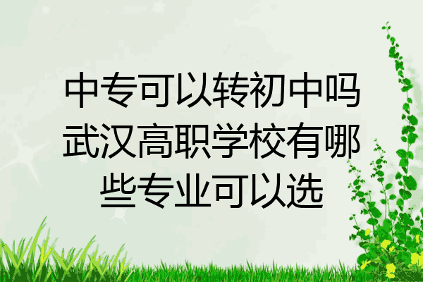 中专可以转初中吗武汉高职学校有哪些专业可以选