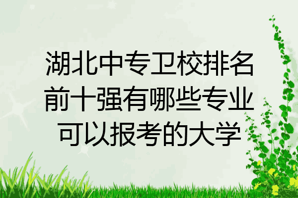 湖北中专卫校排名前十强有哪些专业可以报考的大学